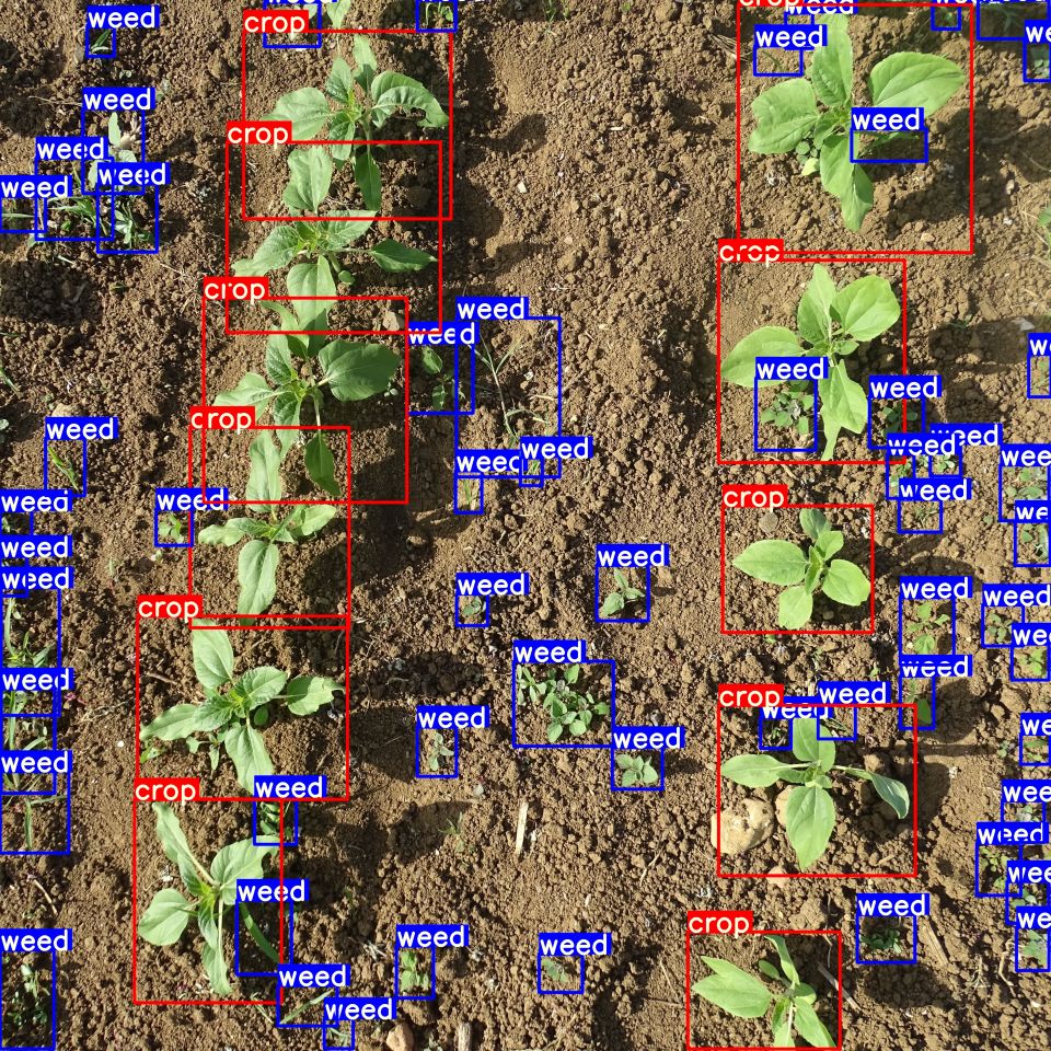 Yapay Zeka Destekli Smart Pulverizatör