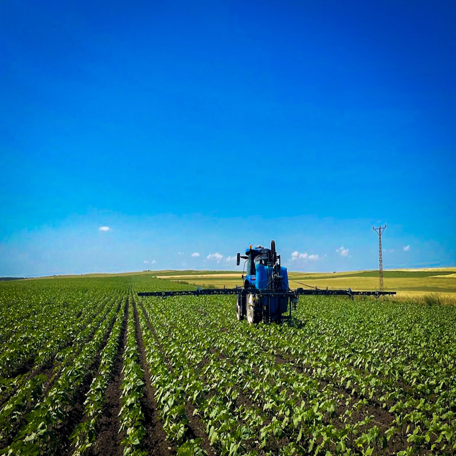 Yapay Zeka Destekli Smart Pulverizatör